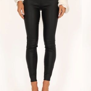 Black leather plants from petal and pup